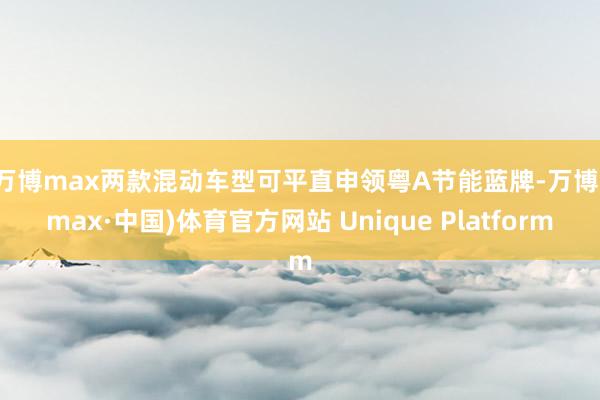 万博max　　两款混动车型可平直申领粤A节能蓝牌-万博(max·中国)体育官方网站 Unique Platform