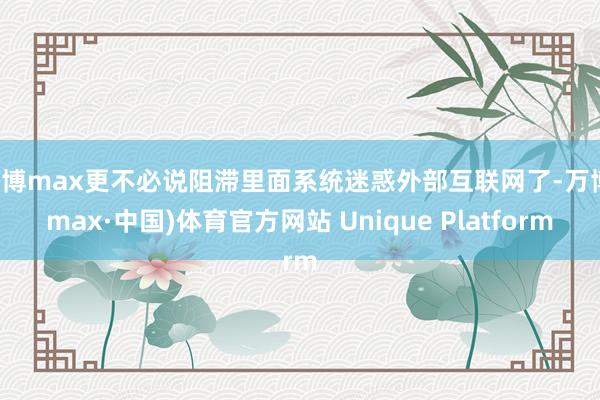 万博max更不必说阻滞里面系统迷惑外部互联网了-万博(max·中国)体育官方网站 Unique Platform