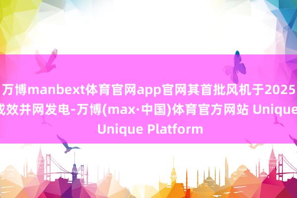 万博manbext体育官网app官网其首批风机于2025年8月9日成效并网发电-万博(max·中国)体育官方网站 Unique Platform