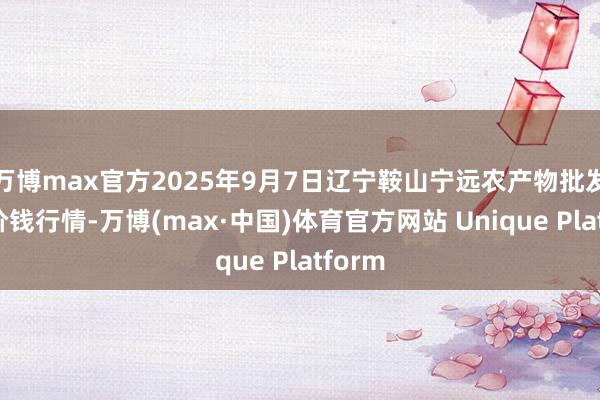 万博max官方2025年9月7日辽宁鞍山宁远农产物批发阛阓价钱行情-万博(max·中国)体育官方网站 Unique Platform