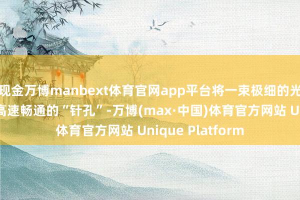 现金万博manbext体育官网app平台将一束极细的光泽精确穿过一个高速畅通的“针孔”-万博(max·中国)体育官方网站 Unique Platform