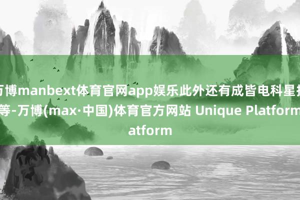 万博manbext体育官网app娱乐此外还有成皆电科星拓等-万博(max·中国)体育官方网站 Unique Platform