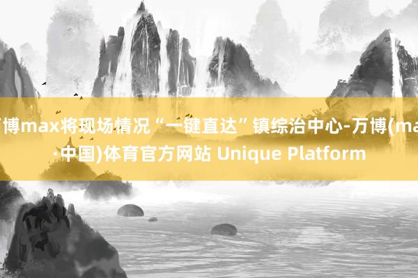 万博max将现场情况“一键直达”镇综治中心-万博(max·中国)体育官方网站 Unique Platform