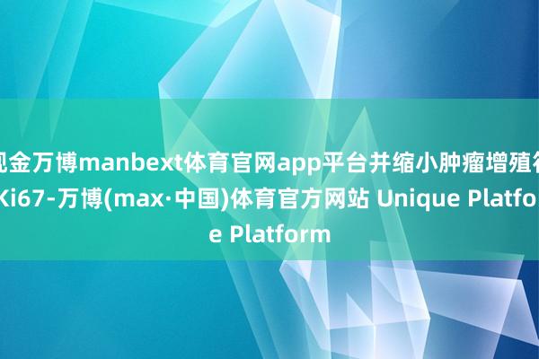 现金万博manbext体育官网app平台并缩小肿瘤增殖符号Ki67-万博(max·中国)体育官方网站 Unique Platform