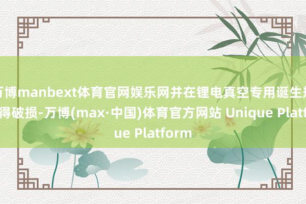 万博manbext体育官网娱乐网并在锂电真空专用诞生规模取得破损-万博(max·中国)体育官方网站 Unique Platform